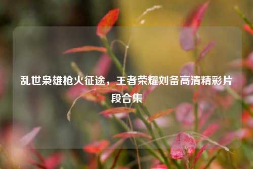 乱世枭雄枪火征途，王者荣耀刘备高清精彩片段合集