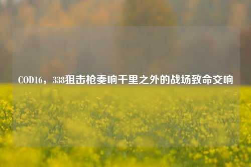 COD16,338狙击枪奏响千里之外的战场致命交响