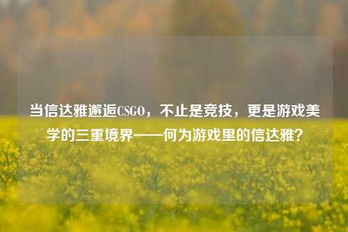 当信达雅邂逅CSGO，不止是竞技，更是游戏美学的三重境界——何为游戏里的信达雅？