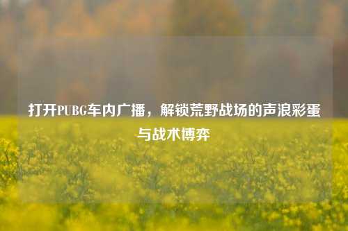 打开PUBG车内广播，解锁荒野战场的声浪彩蛋与战术博弈