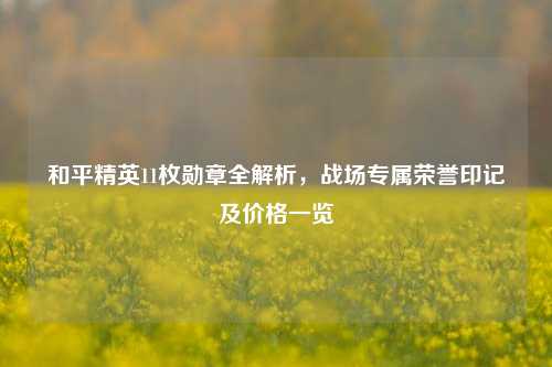 和平精英11枚勋章全解析，战场专属荣誉印记及价格一览