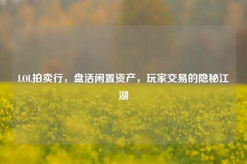 LOL拍卖行,盘活闲置资产,玩家交易的隐秘江湖