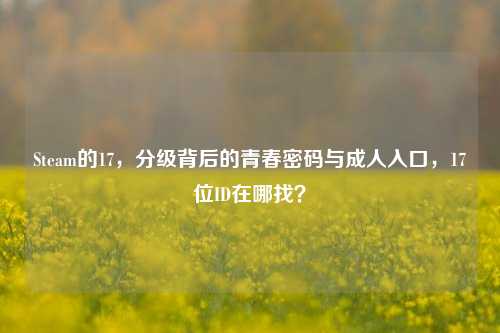 Steam的17,分级背后的青春密码与成人入口,17位ID在哪找?