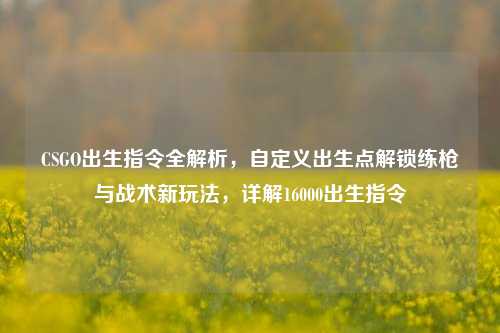 CSGO出生指令全解析，自定义出生点解锁练枪与战术新玩法，详解16000出生指令