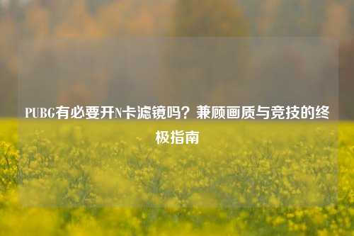 PUBG有必要开N卡滤镜吗？兼顾画质与竞技的终极指南