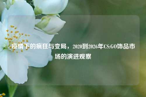 疫情下的疯狂与变局，2020到2026年CS:GO饰品市场的演进观察