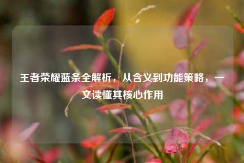 王者荣耀蓝条全解析，从含义到功能策略，一文读懂其核心作用