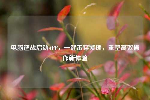 电脑逆战启动APP，一键击穿繁琐，重塑高效操作新体验