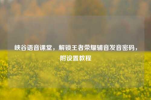峡谷语音课堂,解锁王者荣耀辅音发音密码,附设置教程