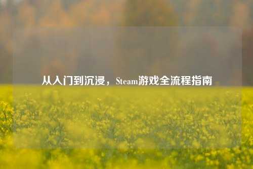从入门到沉浸,Steam游戏全流程指南
