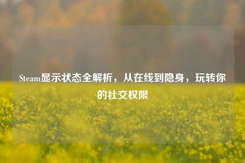 Steam显示状态全解析，从在线到隐身，玩转你的社交权限