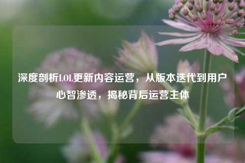 深度剖析LOL更新内容运营,从版本迭代到用户心智渗透,揭秘背后运营主体