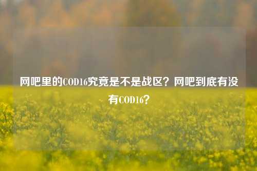 网吧里的COD16究竟是不是战区?网吧到底有没有COD16?