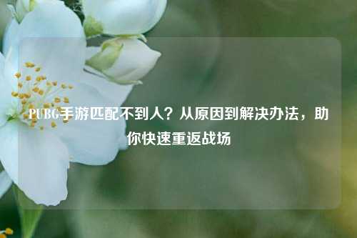 PUBG手游匹配不到人?从原因到解决办法,助你快速重返战场