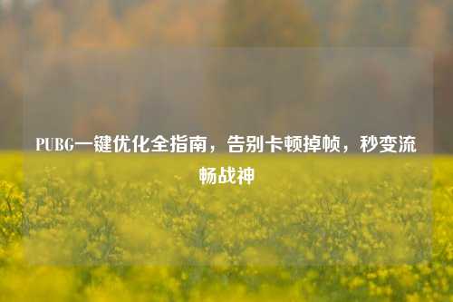 PUBG一键优化全指南,告别卡顿掉帧,秒变流畅战神