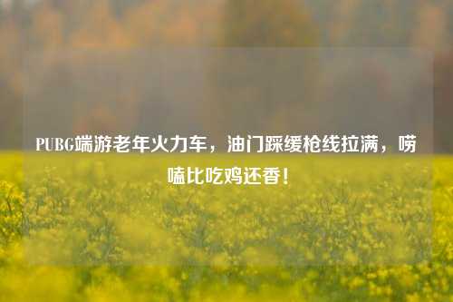 PUBG端游老年火力车,油门踩缓枪线拉满,唠嗑比吃鸡还香!