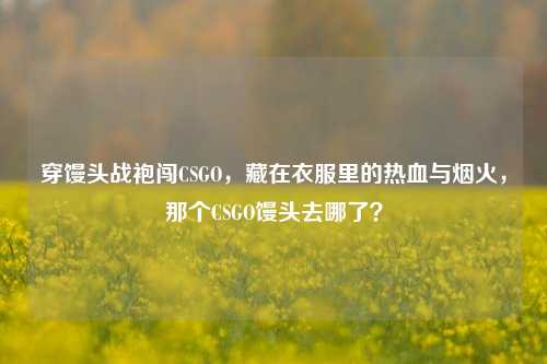 穿馒头战袍闯CSGO,藏在衣服里的热血与烟火,那个CSGO馒头去哪了?