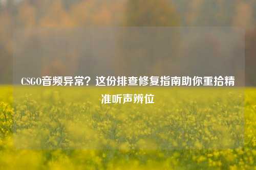 CSGO音频异常?这份排查修复指南助你重拾精准听声辨位