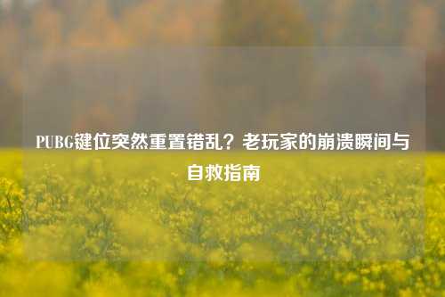 PUBG键位突然重置错乱？老玩家的崩溃瞬间与自救指南