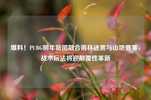 爆料!PUBG明年新图融合雨林迷雾与山地要塞,战术玩法将迎颠覆性革新