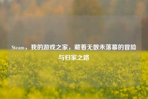 Steam,我的游戏之家,藏着无数未落幕的冒险与归家之路