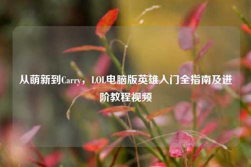从萌新到Carry,LOL电脑版英雄入门全指南及进阶教程视频