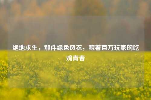 绝地求生，那件绿色风衣，藏着百万玩家的吃鸡青春