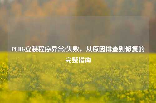 PUBG安装程序异常/失败,从原因排查到修复的完整指南