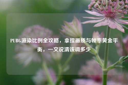 PUBG渲染比例全攻略,拿捏画质与帧率黄金平衡,一文说清该调多少
