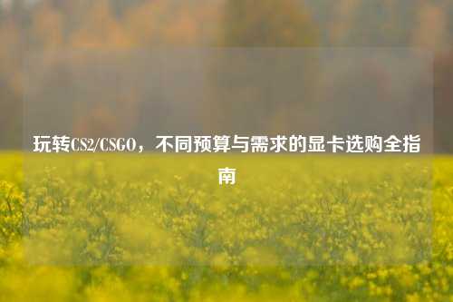 玩转CS2/CSGO，不同预算与需求的显卡选购全指南