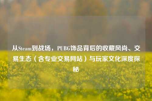 从Steam到战场，PUBG饰品背后的收藏风尚、交易生态（含专业交易网站）与玩家文化深度探秘