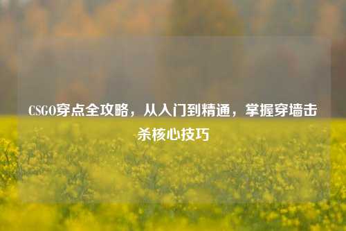 CSGO穿点全攻略，从入门到精通，掌握穿墙击杀核心技巧
