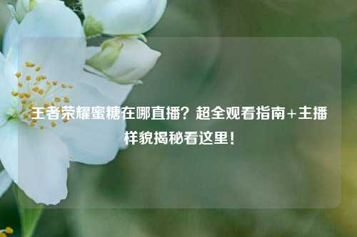 王者荣耀蜜糖在哪直播？超全观看指南+主播样貌揭秘看这里！