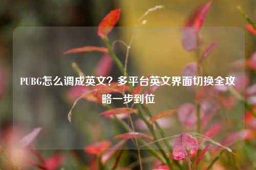 PUBG怎么调成英文？多平台英文界面切换全攻略一步到位