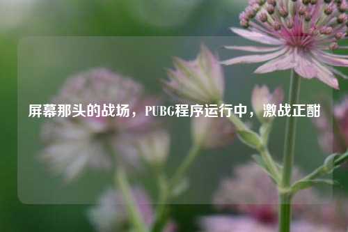 屏幕那头的战场,PUBG程序运行中,激战正酣