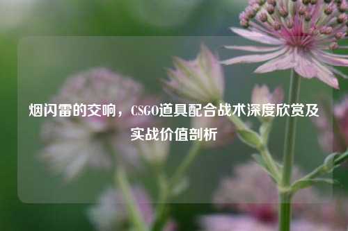 烟闪雷的交响，CSGO道具配合战术深度欣赏及实战价值剖析