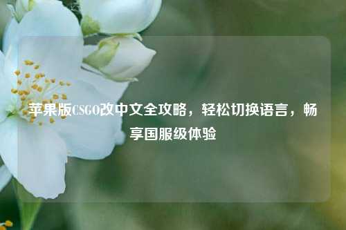 苹果版CSGO改中文全攻略,轻松切换语言,畅享国服级体验