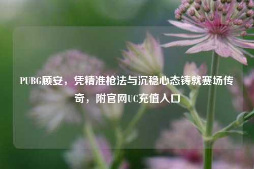 PUBG顾安,凭精准枪法与沉稳心态铸就赛场传奇,附官网UC充值入口