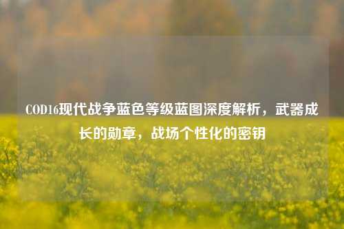 COD16现代战争蓝色等级蓝图深度解析,武器成长的勋章,战场个性化的密钥