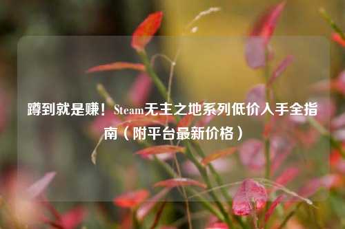蹲到就是赚!Steam无主之地系列低价入手全指南(附平台最新价格)
