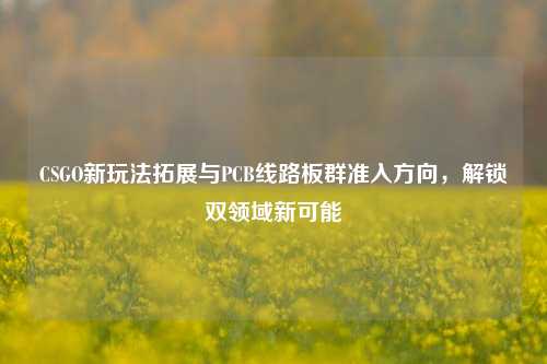 CSGO新玩法拓展与PCB线路板群准入方向，解锁双领域新可能