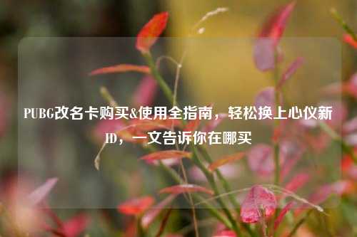 PUBG改名卡购买&使用全指南，轻松换上心仪新ID，一文告诉你在哪买