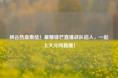 峡谷热血集结！星耀锋芒直播战队招人，一起上大分闯直播！