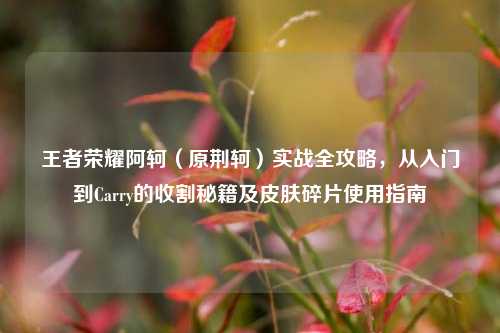 王者荣耀阿轲(原荆轲)实战全攻略,从入门到Carry的收割秘籍及皮肤碎片使用指南