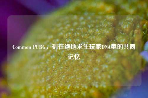 Common PUBG,刻在绝地求生玩家DNA里的共同记忆