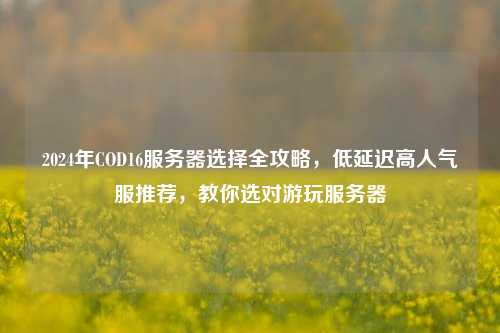 2024年COD16服务器选择全攻略，低延迟高人气服推荐，教你选对游玩服务器