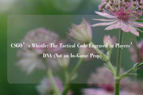 CSGO’s Whistle: The Tactical Code Engraved in Players’ DNA (Not an In-Game Prop)