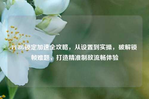 PUBG锁定加速全攻略,从设置到实操,破解锁帧难题,打造精准制敌流畅体验