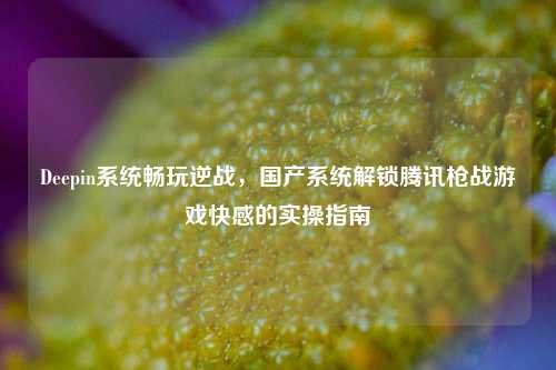 Deepin系统畅玩逆战，国产系统解锁腾讯枪战游戏快感的实操指南