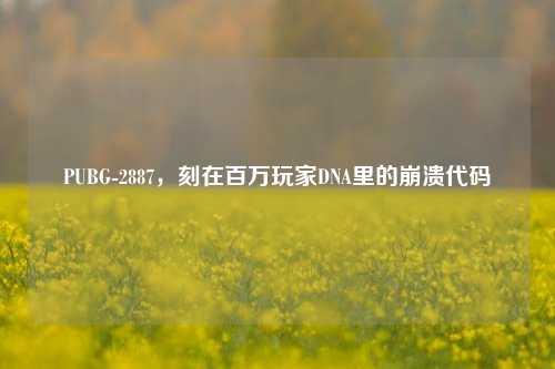 PUBG-2887,刻在百万玩家DNA里的崩溃代码